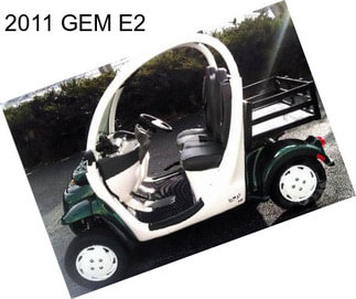 2011 GEM E2