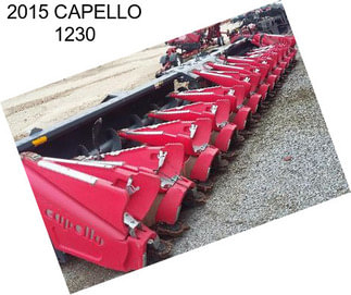 2015 CAPELLO 1230