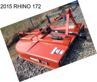 2015 RHINO 172