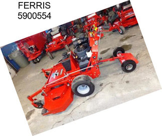 FERRIS 5900554