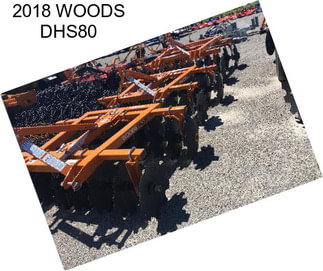 2018 WOODS DHS80