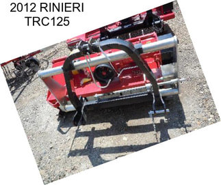 2012 RINIERI TRC125