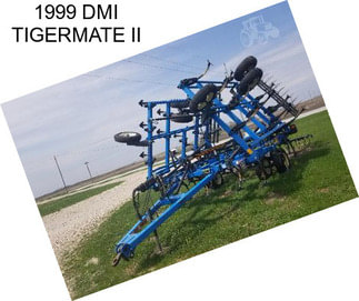 1999 DMI TIGERMATE II