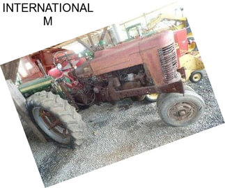 INTERNATIONAL M