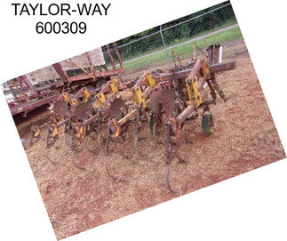 TAYLOR-WAY 600309