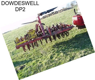 DOWDESWELL DP2