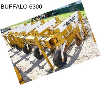 BUFFALO 6300