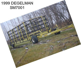 1999 DEGELMAN SM7001