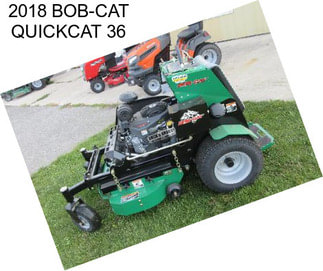2018 BOB-CAT QUICKCAT 36