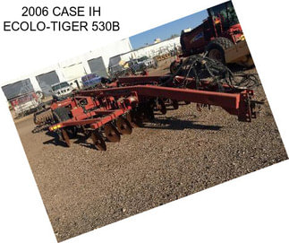 2006 CASE IH ECOLO-TIGER 530B