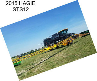 2015 HAGIE STS12