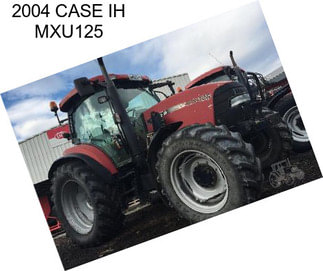 2004 CASE IH MXU125