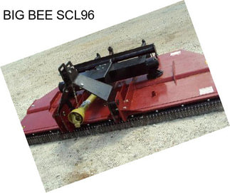BIG BEE SCL96
