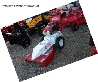 2015 LITTLE WONDER 5024-22-01