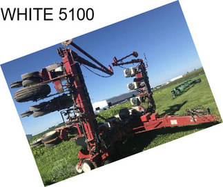 WHITE 5100