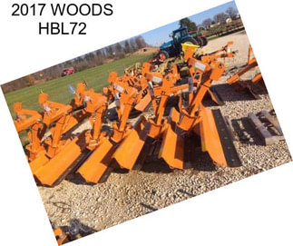 2017 WOODS HBL72