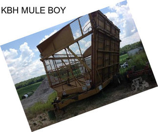 KBH MULE BOY