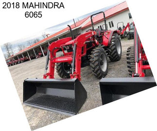 2018 MAHINDRA 6065