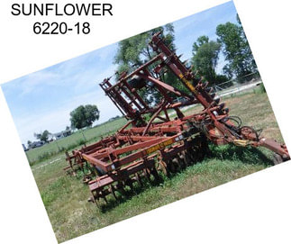 SUNFLOWER 6220-18