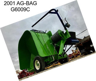 2001 AG-BAG G6009C