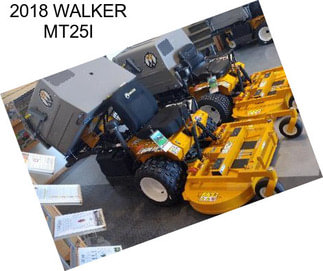 2018 WALKER MT25I