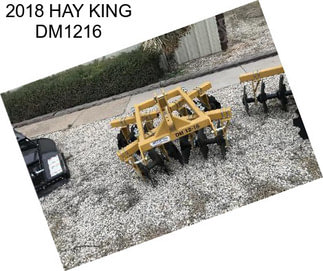 2018 HAY KING DM1216