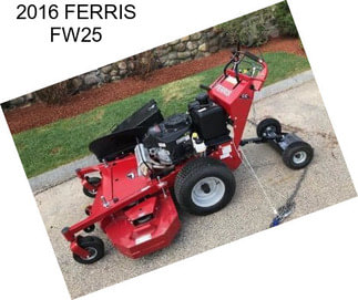 2016 FERRIS FW25