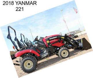 2018 YANMAR 221