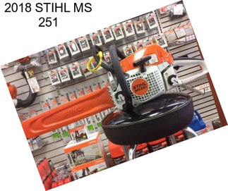 2018 STIHL MS 251