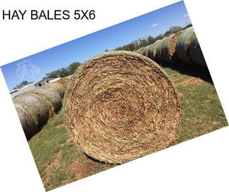 HAY BALES 5X6