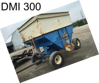 DMI 300