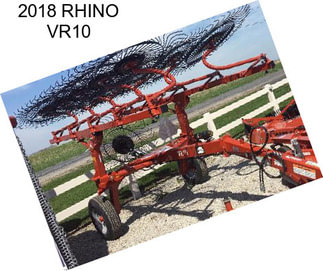 2018 RHINO VR10
