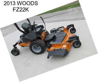 2013 WOODS FZ22K