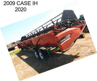 2009 CASE IH 2020