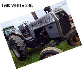 1980 WHITE 2-85