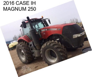 2016 CASE IH MAGNUM 250