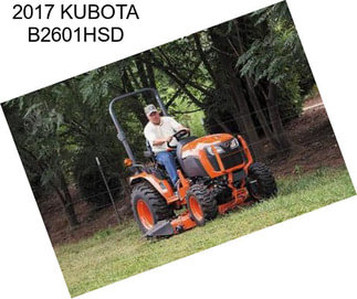 2017 KUBOTA B2601HSD