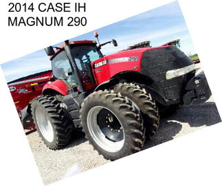 2014 CASE IH MAGNUM 290