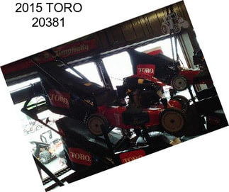 2015 TORO 20381