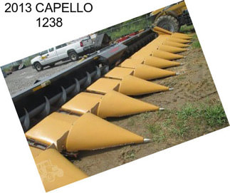 2013 CAPELLO 1238