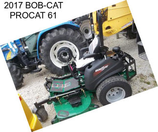 2017 BOB-CAT PROCAT 61