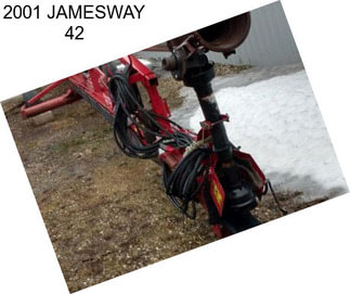 2001 JAMESWAY 42