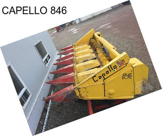 CAPELLO 846