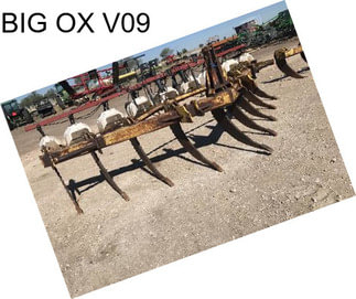 BIG OX V09