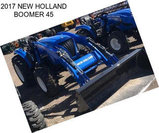 2017 NEW HOLLAND BOOMER 45