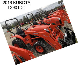 2018 KUBOTA L3901DT