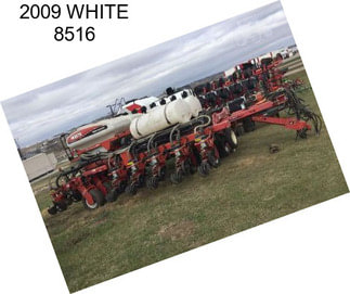 2009 WHITE 8516