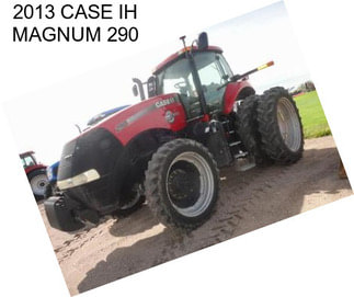 2013 CASE IH MAGNUM 290