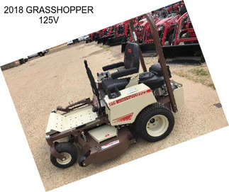 2018 GRASSHOPPER 125V