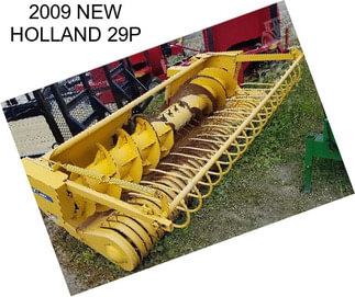 2009 NEW HOLLAND 29P